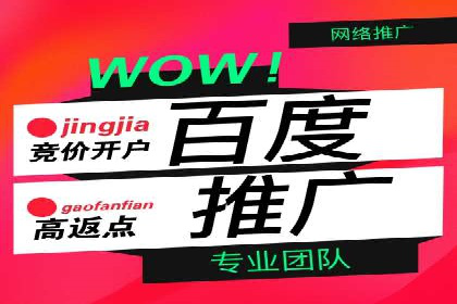 百度推广运营实战技巧：案例教学与解析
